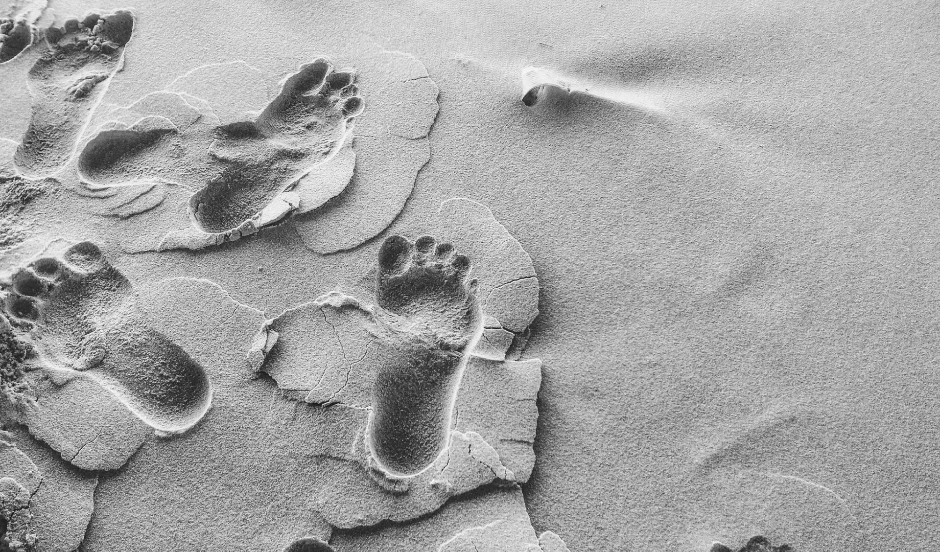 abstract-beach-desert-723997-e1544466254800-BN